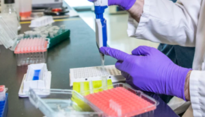 senyawa kimia alkana