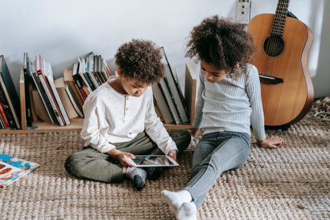 Alat-Musik-Petik-Modern