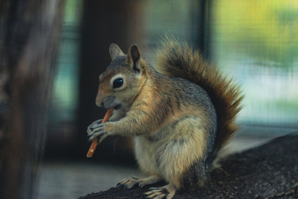 konservasi flora dan fauna